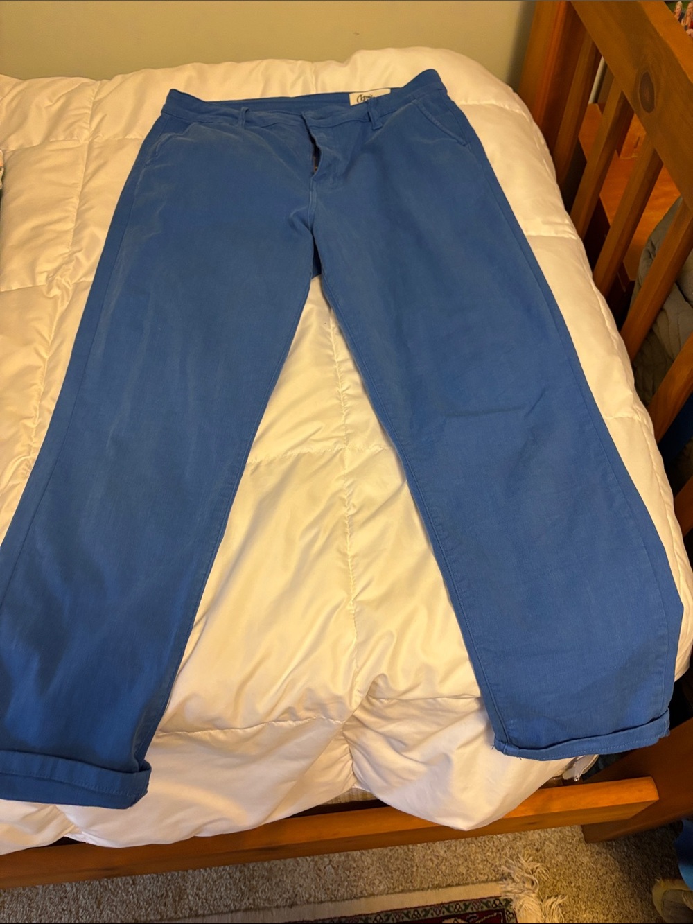 Women's Cropped Blue Ankle Pants